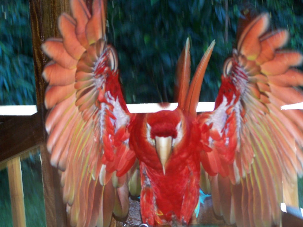 100_4706