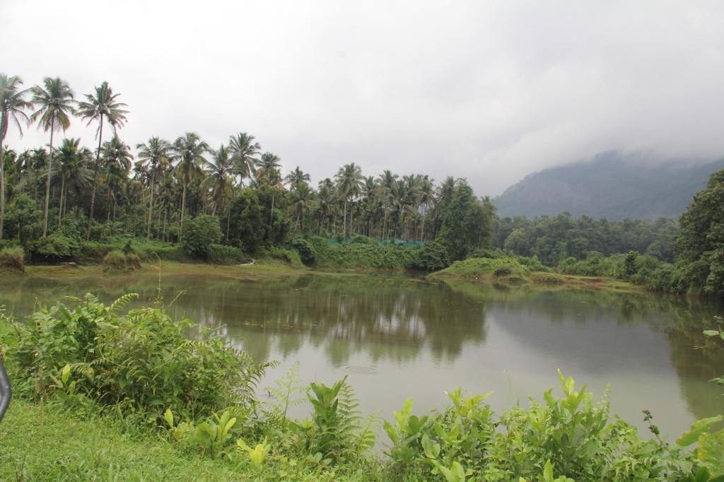 Thattekkad Bird Sanctuary Across the River