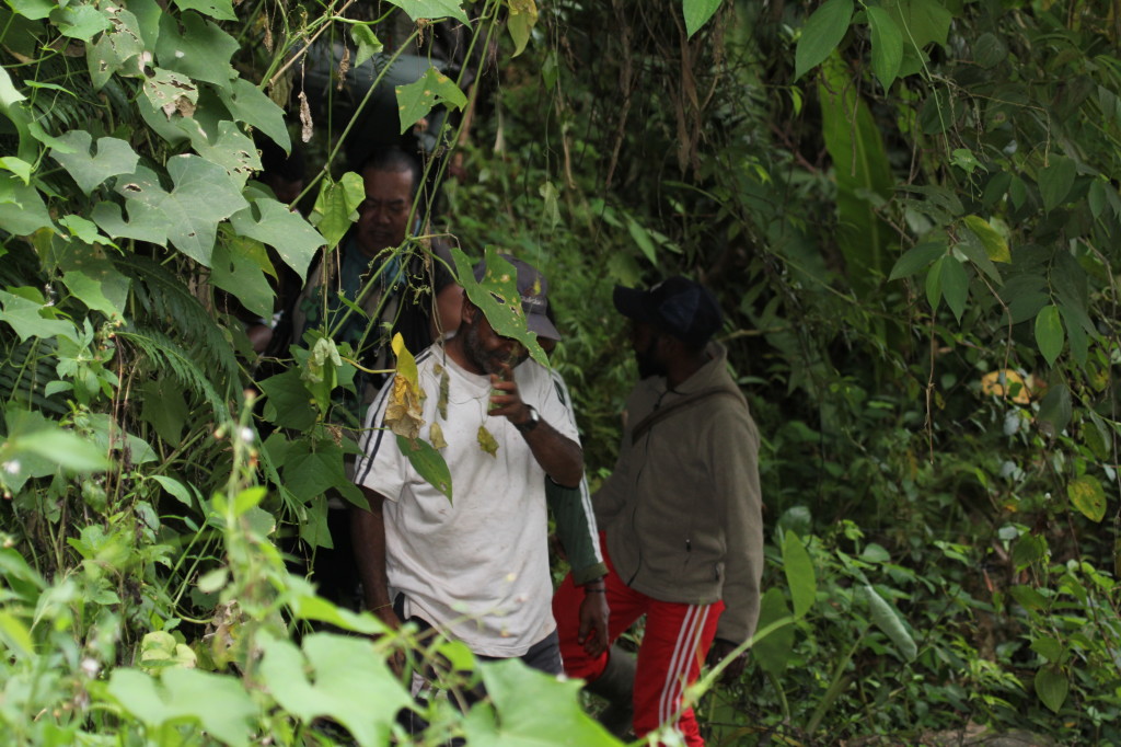 Hacking through the bush