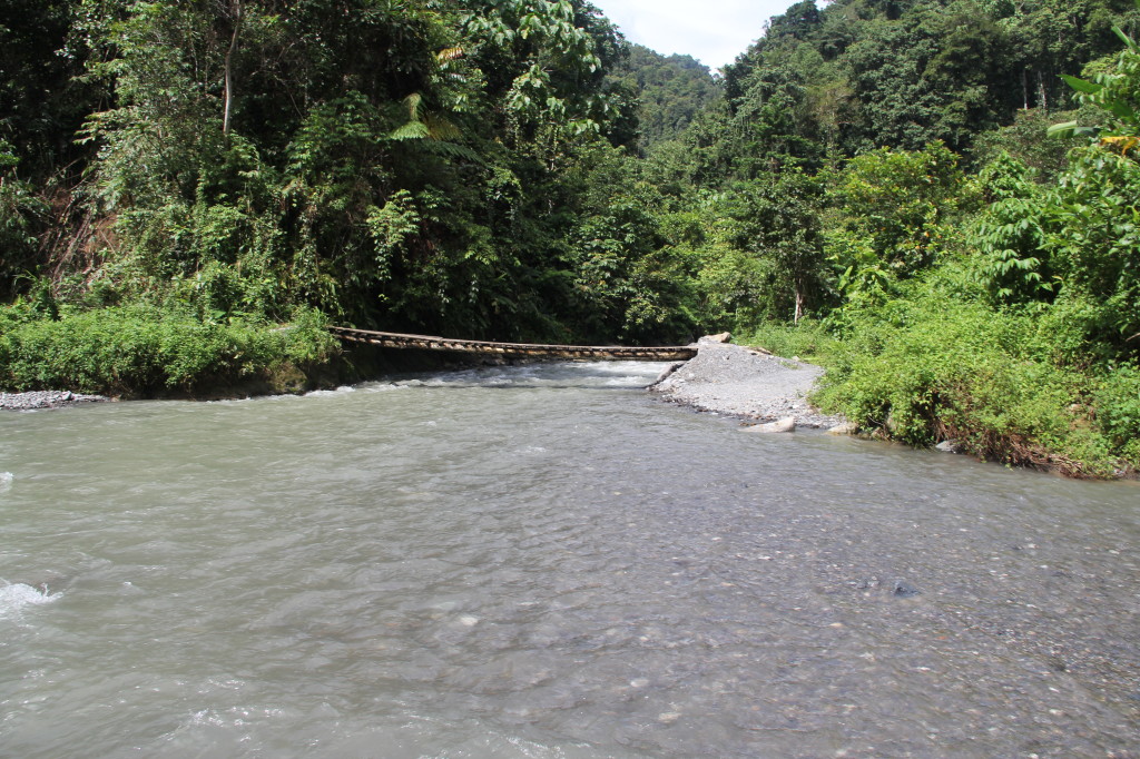 Heading back to Manokwari