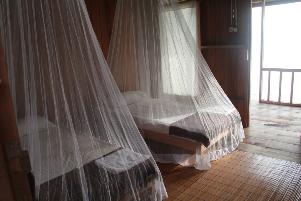 Beds have mosquito nets