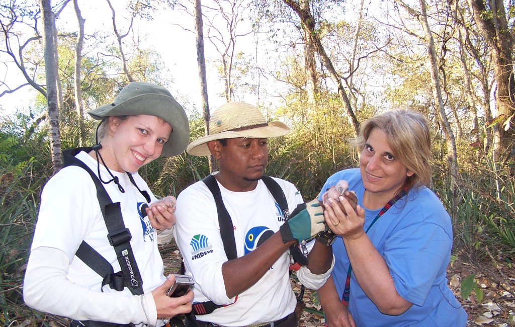 Projeto Arara Azul volunteers with Tara after inspecting a Hyacinth Macaw chick