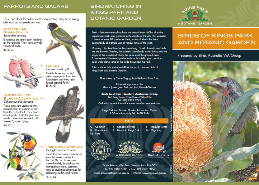 King's Park birds