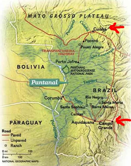 Pantanal