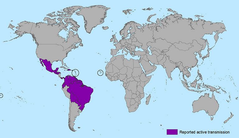 Zika map