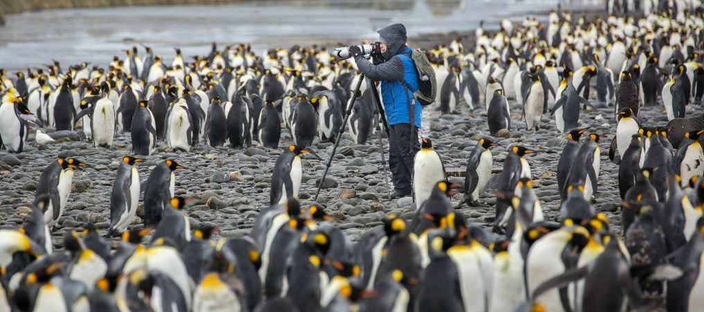 antarctica