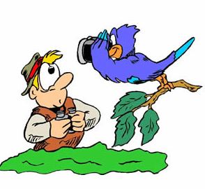 birdingclipart