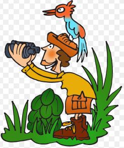 birdingclipart2